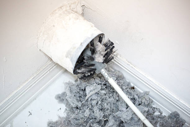 Best Air Duct Mold Removal  in Homestead, FL